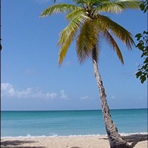 Meet your Posher, Kris